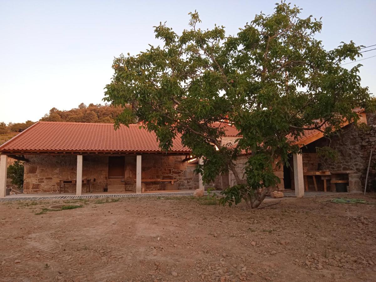 Quinta Do Passadico Villa Lamego Exterior photo