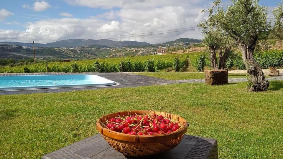 Quinta Do Passadico Villa Lamego Exterior photo